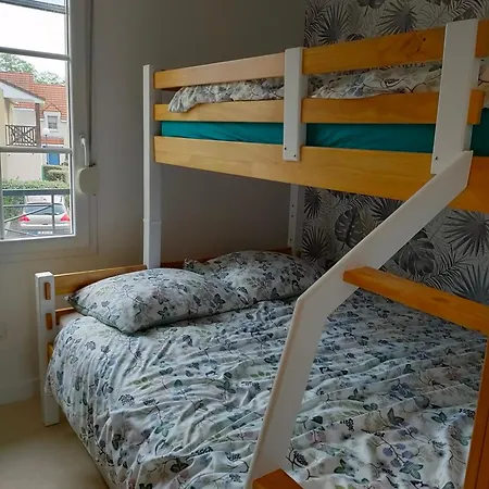 Entre Terre Et Camiers