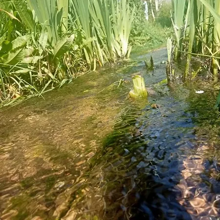 Entre Terre Et * Camiers
